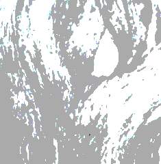 Tree Drawing.