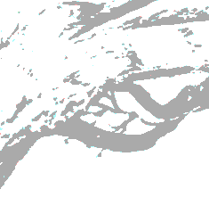 Tree Drawing.