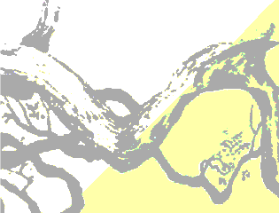 Tree Drawing.