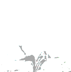 Tree Drawing.